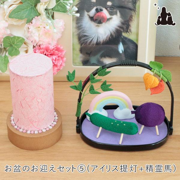 ペット お盆 お迎えセット(5) アイリス提灯+かご入りちりめん精霊馬+虹の置物 お盆飾り お盆用品...