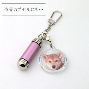 ペット メモリアルグッズ キーホルダー アクリ...の詳細画像1