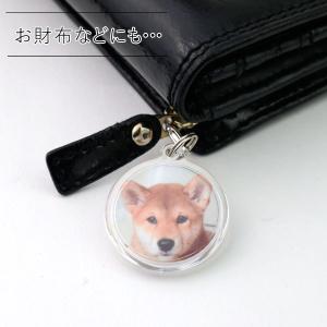 ペット メモリアルグッズ キーホルダー アクリ...の詳細画像2