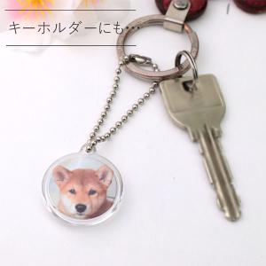 ペット メモリアルグッズ キーホルダー アクリ...の詳細画像3