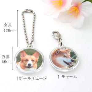 ペット メモリアルグッズ キーホルダー アクリ...の詳細画像5