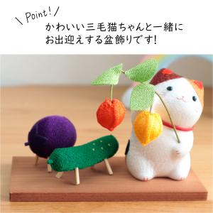 ペット お盆 三毛猫とお盆飾り 精霊馬 猫 盆...の詳細画像4