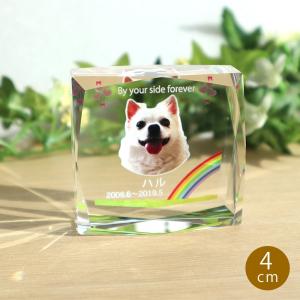 ペット位牌 クリスタルカラー印刷 スクエア16面カット（S)4cm