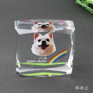 ペット 位牌 クリスタルガラス カラー印刷 ス...の詳細画像3