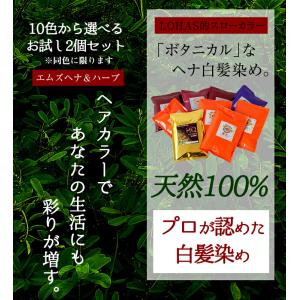 10種類から選べるエムズヘナ&ハーブ100g×...の詳細画像1