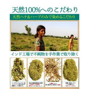 10種類から選べるエムズヘナ&ハーブ100g×...の詳細画像2