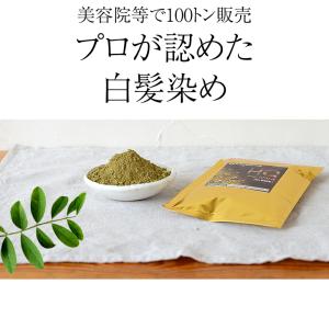 10種類から選べるエムズヘナ&ハーブ100g×...の詳細画像4