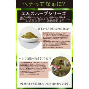 10種類から選べるエムズヘナ&ハーブ100g×...の詳細画像5