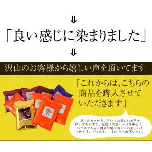 ヘナ 白髪染め 男性用 女性用 男女兼用 送料...の詳細画像2