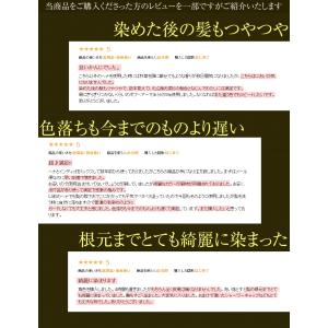 ヘナ 白髪染め 男性用 女性用 男女兼用 送料...の詳細画像3