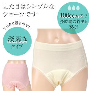 失禁ショーツ 100cc対応 ジャガード柄 尿...の詳細画像3