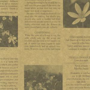 タカ印 ラッピングペーパー 49-1421 レター柄 カーディアングレー茶 半才判 50枚