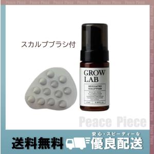 GROW LAB グロウラボ メディケイテッドスカルプフォーム 100ml スカルプブラシ付