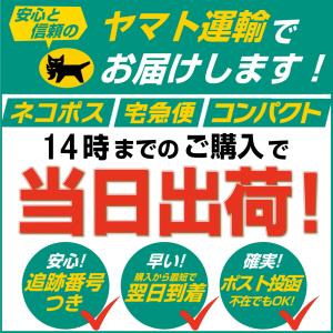 プライマリーポンプ 交換 WPV12 2個 燃...の詳細画像2