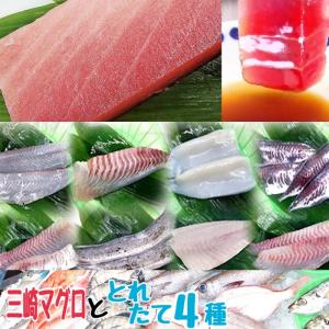 本マグロ 『 朝獲れ4選 + 三崎まぐろ赤身(200g) 三浦半島 刺身セット 』 赤身 鮮魚 刺身用 柵 5種 詰め合わせ 鮪 鮮魚ボックス 地魚 早鈴直売所 お祝い 父の日｜ピーチシルバー