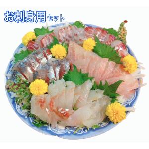 刺身用 柵 5種 詰め合わせ 『 朝どれ 厳選5種類 三浦半島 刺身セット 』 魚 地魚 下処理 サク 鮮魚box 早鈴直売所 ギフト お祝い 鮮魚 盛り合わせ