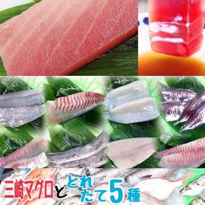 中とろ 鮮魚 刺身用 柵 7種 詰め合わせ 朝獲れ厳選5種 三崎マグロ赤身 三崎マグロ中トロ 三浦半島 刺身セット 三崎まぐろ 400g 中とろ0g赤身0g Saku5c ピーチシルバー 通販 Yahoo ショッピング
