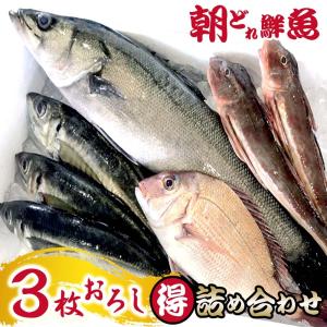 トビウオ 刺身 魚 鮮魚 の商品一覧 魚介類 海産物 食品 通販 Yahoo ショッピング