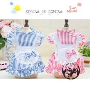 犬服 ワンピースの商品一覧 通販 Yahoo ショッピング