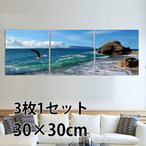 30×30cm アートパネル フレーム絵画 波打ち際の海岸 岩 カモメ 壁掛け インテリア絵画 ウォールデコ 自然風景 癒し 飾り｜peachy