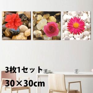 2枚セット33×44cm アートパネル 枠付きフレーム絵画 ボタニカル 植物