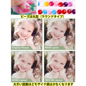 フル ダイヤモンドアート キット ビーズ刺繍 ...の詳細画像3