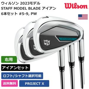 ウィルソン Wilson ウィメンズ DYNAPOWER アイアン 6本セット #5-9， PW PROJECT X 右利き用