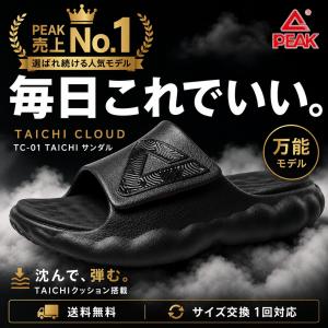 PEAK TC-01 CLOUD TAICHI...の詳細画像1