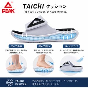 PEAK TC-01 CLOUD TAICHI...の詳細画像4