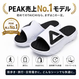 PEAK TC-01 CLOUD TAICHI...の詳細画像2