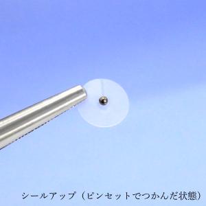 【公式】ピークパイン 日本製 耳つぼシール 1...の詳細画像4