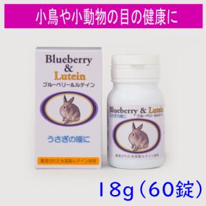 羽毛の健康に】Bio-Strath アニマストラス（顆粒）100g ハーブ酵母