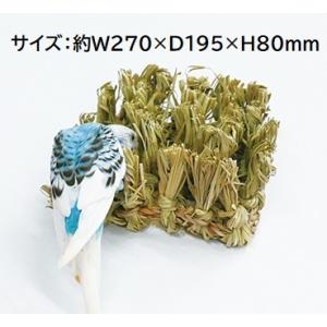 インコひな用 特製飼育セット SANKO : とりっぴー小鳥用品専門店