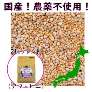 【国産 農薬不使用】小鳥の主食 2種ブレンド 400g（アワ・ヒエ）黒瀬ペットフード シードミックス キビなし カナリーシードなし 鳥 無農薬 種 餌 インコ｜pearly