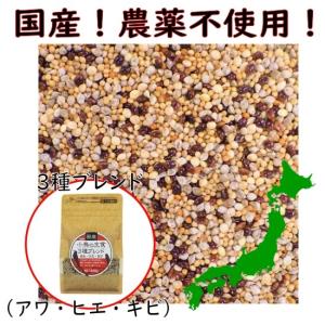 【国産 農薬不使用】小鳥の主食 3種ブレンド 400g（アワ・ヒエ・キビ）黒瀬ペットフード シードミックス カナリーシードなし 配合 インコ 種 鳥 無農薬 餌｜pearly