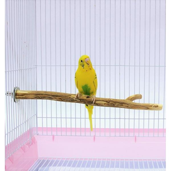MARUKAN 森の小枝（Mサイズ）長さ約28cm 自然木 止まり木 パーチ セキセイインコ コザク...