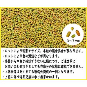 FREE BIRD S8(小粒)300g レギ...の詳細画像4