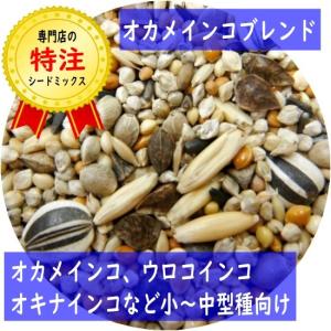 【当店オリジナルシードミックス】オカメインコブレンド 1kg ウロコインコ オカメインコ オキナインコ ホオミドリアカオウロコ コガネメキシコ 鳥 餌 種｜pearly