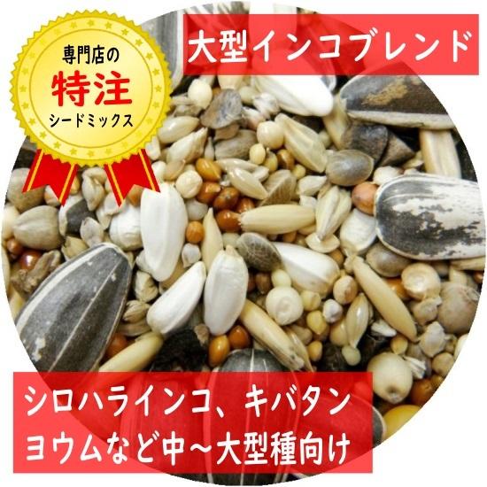 【当店オリジナルシードミックス】大型インコブレンド 1kg 中〜大型インコ向け 餌 種 鳥 オウム ...