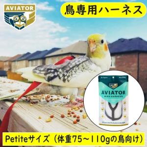 バードハーネス アヴィエーター（Petite/プチ）ハーネス＆リーシュ