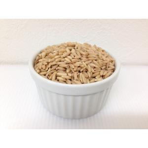 【当店オリジナル】ムキオーツ 200g(殻なし)...の商品画像
