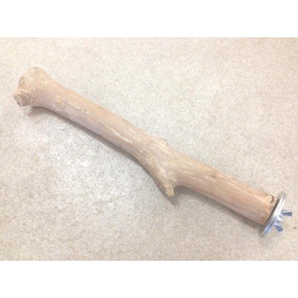 超硬！インポート 自然木 止まり木 ジャワパーチ Mサイズ（約30cm）インコ オウム 天然木