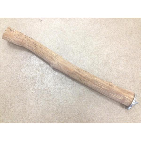 超硬！インポート 自然木 止まり木 ジャワパーチ Mサイズ（約42cm）インコ オウム 天然木