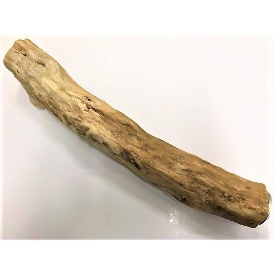 超硬！インポート 自然木 止まり木 ジャワパーチ Lサイズ（約42cm）天然木 鳥 太い キバタン ...