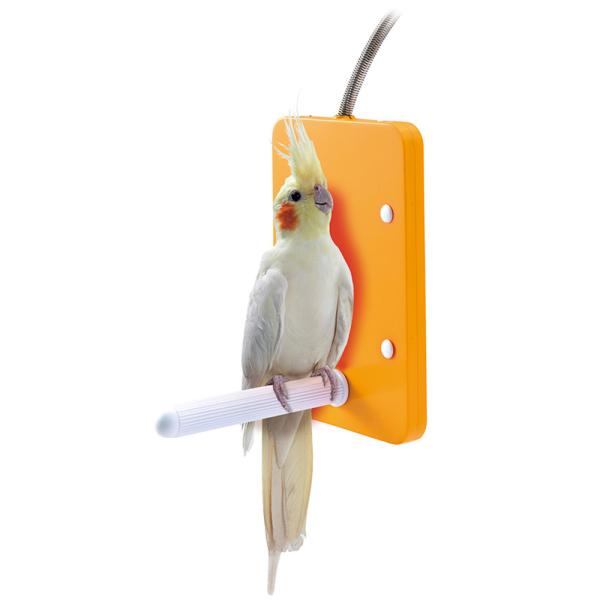 MARUKAN ほっととり暖 寄りそいヒーター（L）止まり木付のパネルヒーター ペットヒーター オカ...