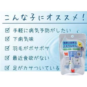 小鳥の健康 バードミネラル SiO4 10cc ...の商品画像