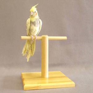 ★オウムスタンド新作‼️見本品‼️{コメント用}❗ GB ルームスタンド ワイド インコ オウム 小鳥 スタンド 卓上止まり木