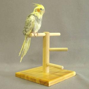 マルカン MARUKAN 止まり木タワー（Lサイズ）餌皿付 バードジム