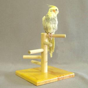 オウムスタンド&ミニスタンド止まり木セット GB ルームスタンド ワイド インコ オウム 小鳥 スタンド 卓上
