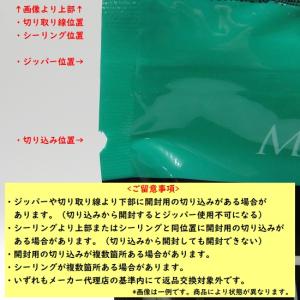 ラウディブッシュ/ROUDYBUSH デイリー...の詳細画像3